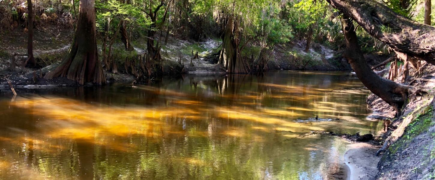 Explore Peace River Florida State Parks